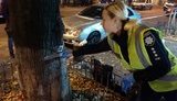 Основною версією вибуху в центрі Києва є необережне поводження з гранатою, - поліція