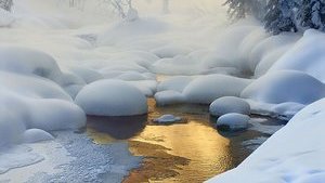 Снегопады и метели в январе и +15°С в феврале: Кульбида озвучил прогноз погоды на ближайшие недели