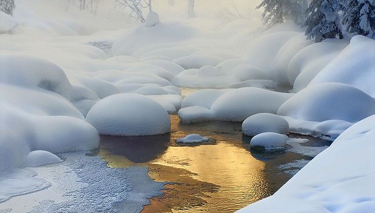 Снегопады и метели в январе и +15°С в феврале: Кульбида озвучил прогноз погоды на ближайшие недели