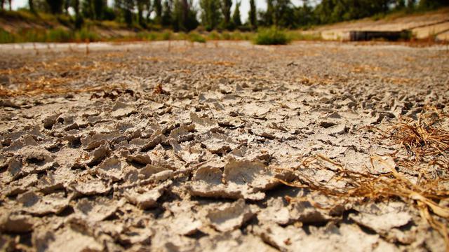 луганск мародеры оккупанты гольф-клуб