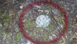 РФ заминировала мост через реку Кошева в Херсоне