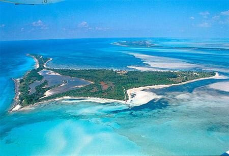 Цензор.НЕТ Изображение