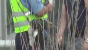 "Красавчик, чувак! Вот вам и пи#дец, ребята! Сегодня вы последний раз на смене!", - гаишники Киевской области попались на взятках. ВИДЕО
