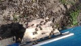 Полиция расследует массовую гибель пчел в шести районах на Сумщине. ФОТОрепортаж