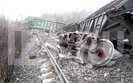росія,вагони,залізниця