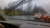 Древопад в Одессе: образовалась огромная пробка. ФОТО