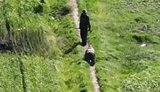 оккупант выгуливает своего пособника