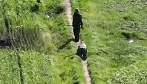 Окупант "вигулює" свого поплічника, який повзе за ним навкарачки. ВIДЕО