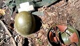 полон