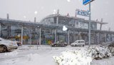 В "Жулянах" замечено скопление полицейских автомобилей и самолет, на котором депортировали в Грузию соратников Саакашвили, - "Рух новых сил"