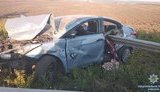 Автомобиль, объезжая собаку, влетел в отбойник на трассе Киев-Одесса, погиб ребенок, - Нацполиция. ФОТО