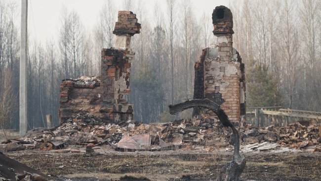 Причина лісових пожеж - приховування вирубки лісів, - Білецький показав кадри наслідків підпалів на Житомирщині 04 Причина лісових пожеж - приховування вирубки лісів, - Білецький показав кадри наслідків підпалів на Житомирщині 04