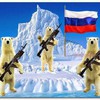 Дмитрий Ярошенко