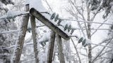 электричество