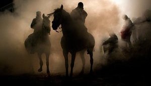 На госпредприятии "Коневодство Украины" выявили схему хищений на 150 миллионов