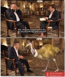 В мире животных