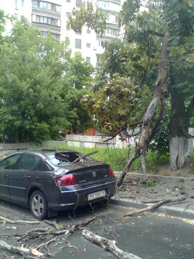 Цензор.НЕТ Изображение