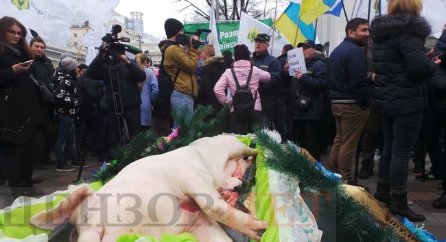 Agrarians rally against land sale in Ukraine 09