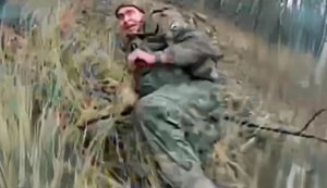 59 ruscists eliminated in forests of Lyman district: combat operations by drone operators of SIGNUM battalion. VIDEO