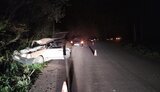 Водитель, пребывая под воздействием наркотиков, врезался в дерево на Львовщине, погибла его жена, - Нацполиция. ФОТО