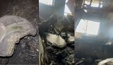 a high-precision weapon hit the occupiers’ barracks in Vasylivka, Zaporizhzhia