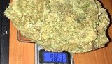 Полицейские задержали на Подоле в Киеве "закладчика", у которого изъяли 8 кг психотропных и наркотических веществ. ВИДЕО+ФОТОрепортаж