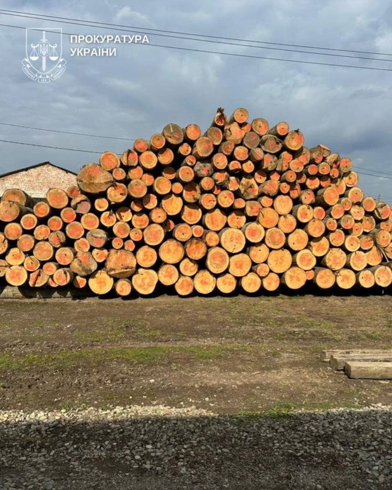 На Буковині викрили "тіньовий" експорт лісу до Молдови