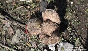 12 погибших, почти 90 пострадавших: поисково-спасательная операция на месте удара РФ по Киеву завершена. ФОТОРЕПОРТАЖ