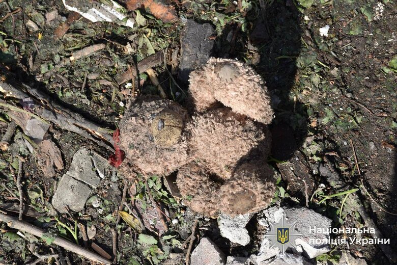 Attack on Kyiv on 24 April: search and rescue operation completed