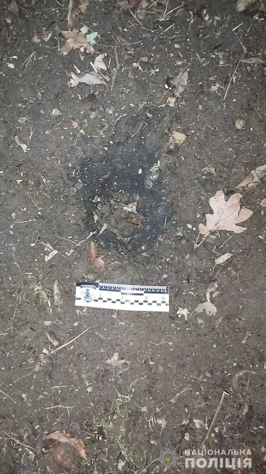 Жителя Харкова вдарили по голові і намагалися підірвати гранатою 02
