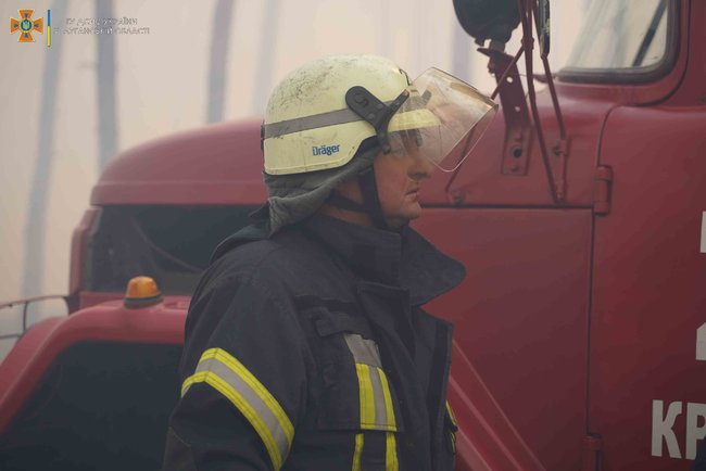 Лісову пожежу ліквідують на Луганщині, - ДСНС 02