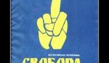 "Смертная казнь, запрет абортов и деление на 300 уездов", - "Свобода" представила свой проект Конституции