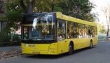 АМКУ оштрафував дві компанії на понад 51 мільйон за змову на тендерах "Київпастрансу"