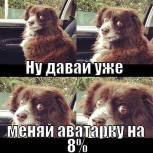 Способ голосования определяет результат. Досрочные парламентские выборы в ФОТОжабах 10