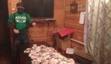 россия церковь рпц русский мир