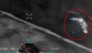 Сова успішно атакувала та збила російський квадрокоптер на Донеччині. ВIДЕО