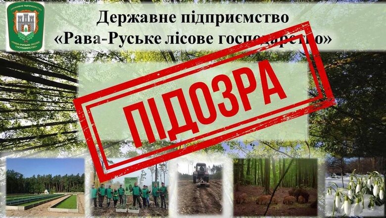 ліс
