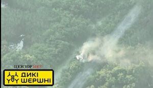 Бійці ССО "TangoGrom" FPV дроном "Дикі шершні" знищують евакуаційну "буханку" ворога. ВIДЕО