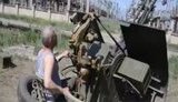 счастье тэс зу