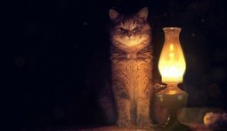 The power went out following the shelling