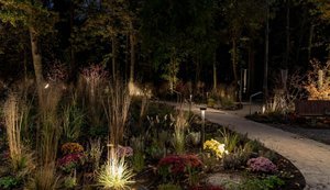 Терапія просто неба: як працює новий формат реабілітації для військових і ветеранів