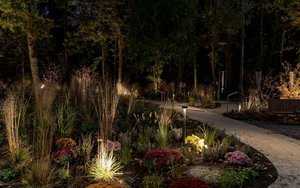 реабілітація