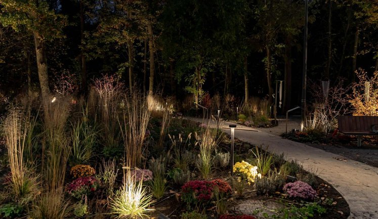 Терапія просто неба: як працює новий формат реабілітації для військових і ветеранів