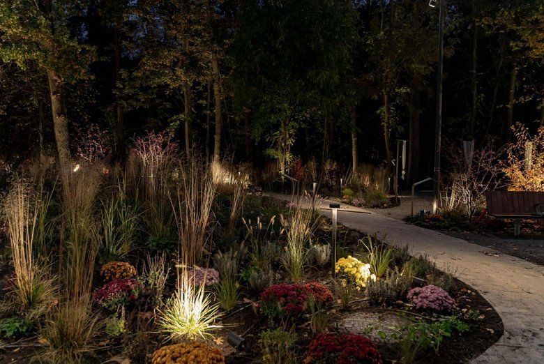 реабілітація