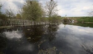 підтоплення,водопілля