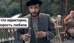 "Зашквар и голуби"