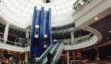 глобус,globus