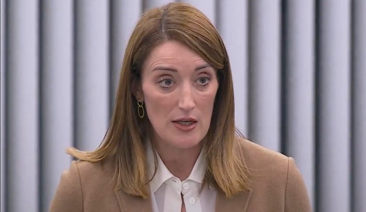 Європарламент наполягатиме на мирі за принципом "Нічого про Україну без України", - Мецола