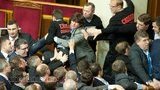 Rada Fight: Olympic Champion Tedeiev Fights Kyrylenko. Klitschko is Watching.... PHOTO + VIDEO