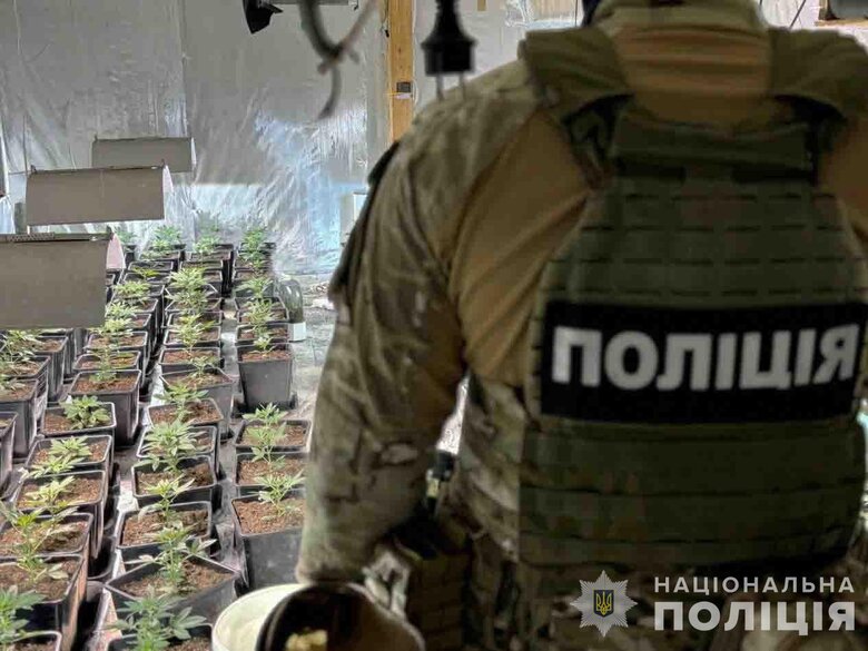 На Львівщині судитимуть злочинну групу, яка щомісяця збувала канабіс на 2 млн грн